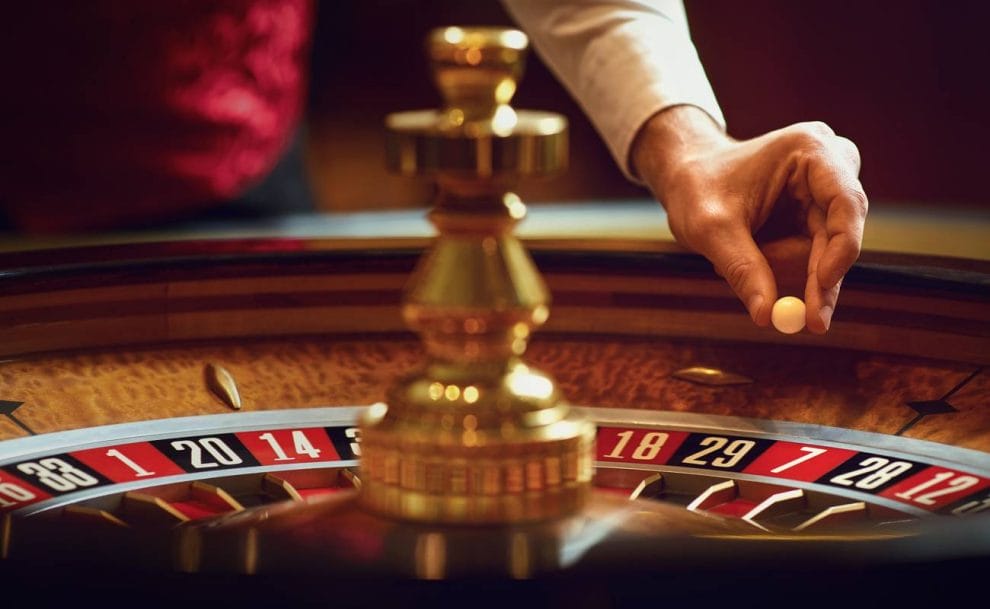 Croupier’s hand placing a roulette ball on the wheel.
