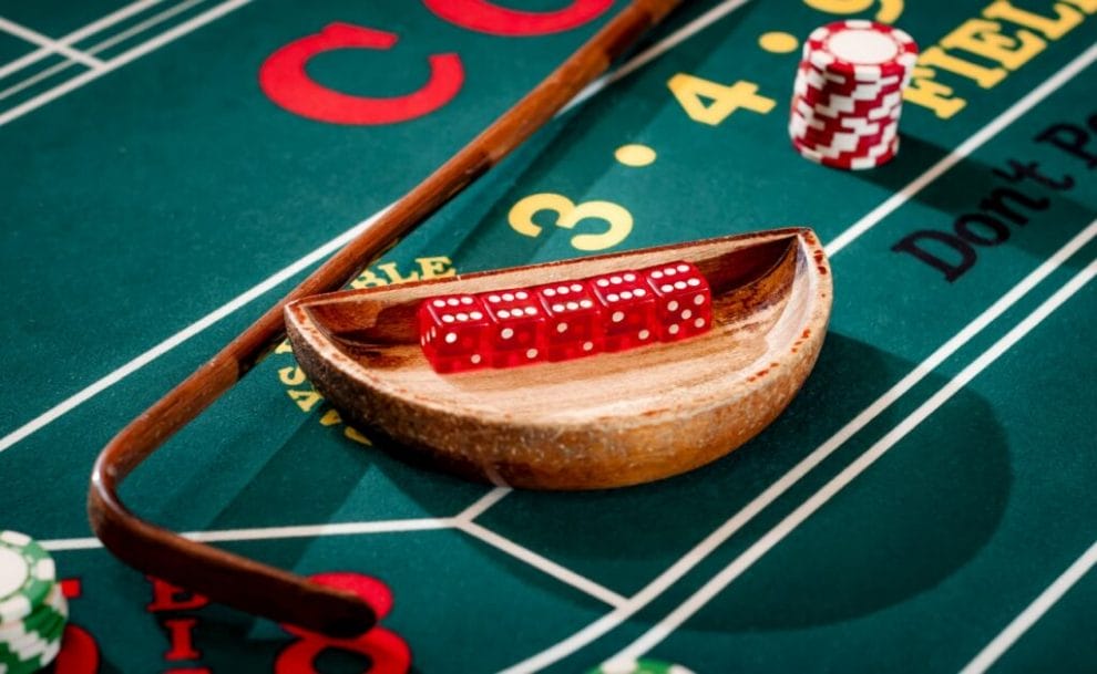 Full set of 5 dice in a wooden bowl next to the stick on a craps table with stacks of casino chip around