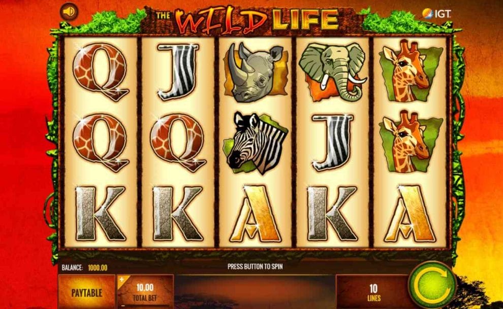 A screenshot of The Wild Life game reel.