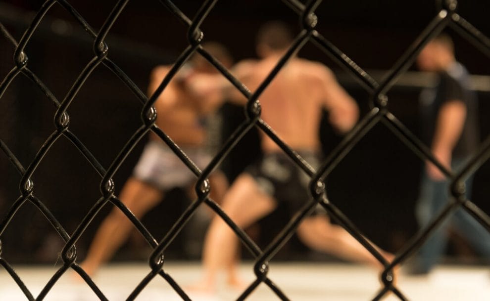 Blurred image of two cage fighters trading blows in the octagon.