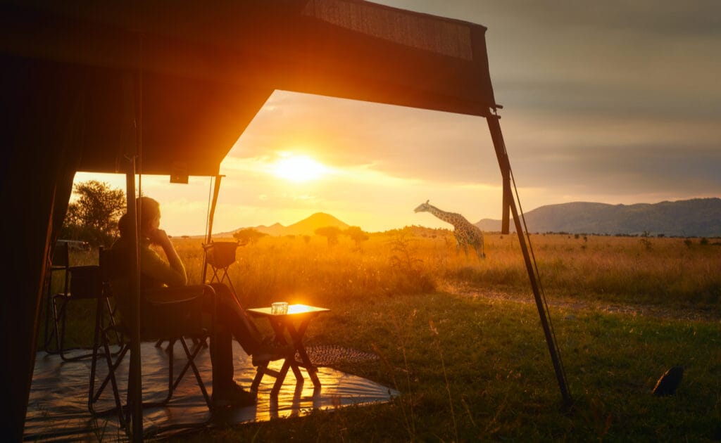 A woman sits outside her tent watching a giraffe in the sunset.