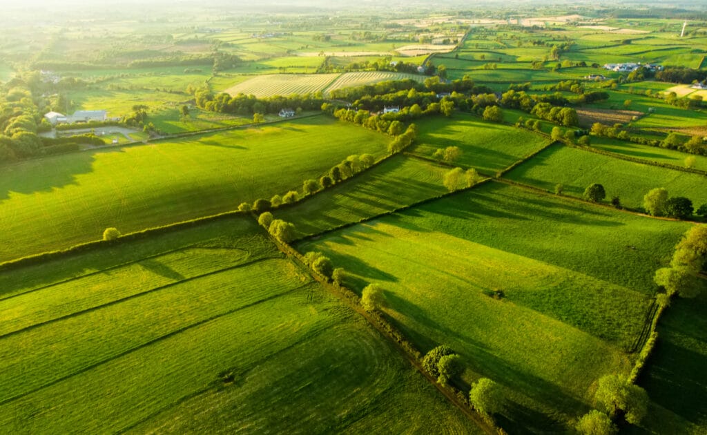 Green rolling hills, trees and roads of the Irish countryside.