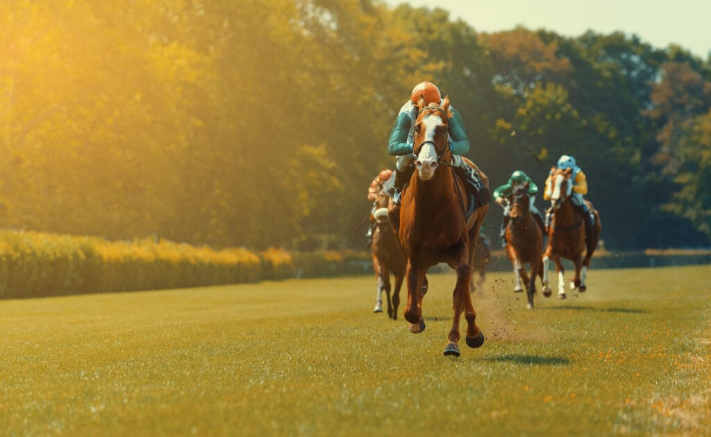 Four horses and their jockeys racing around a race track.