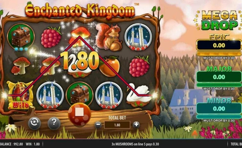 A screenshot of a win in Enchanted Kingdom.