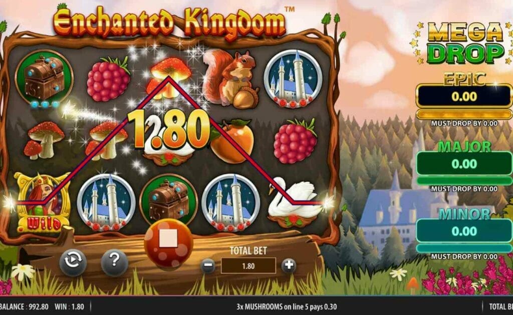 A screenshot of a win in Enchanted Kingdom.