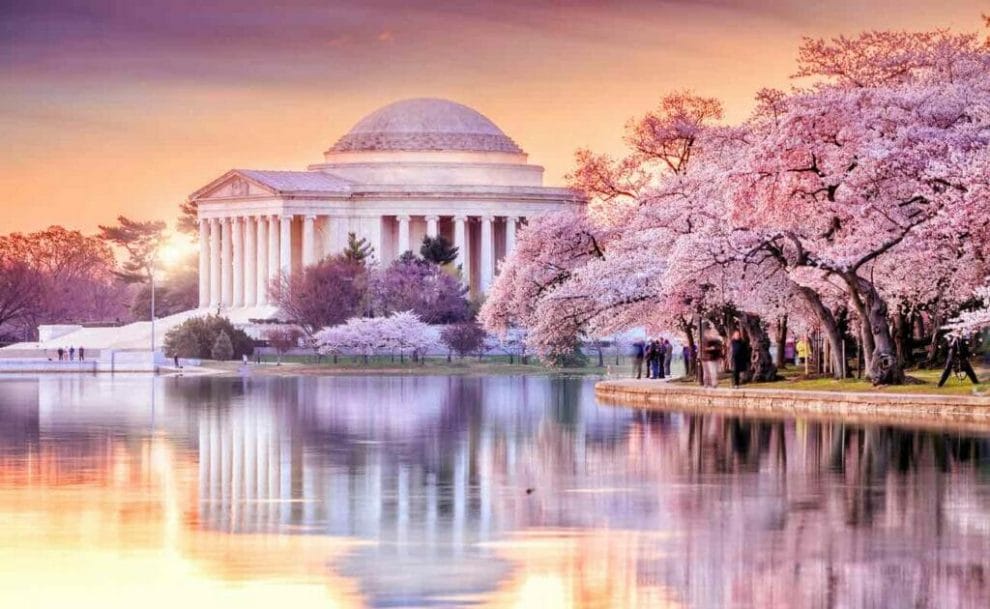 The Jefferson Memorial during the Cherry Blossom Festival, Washington, DC.