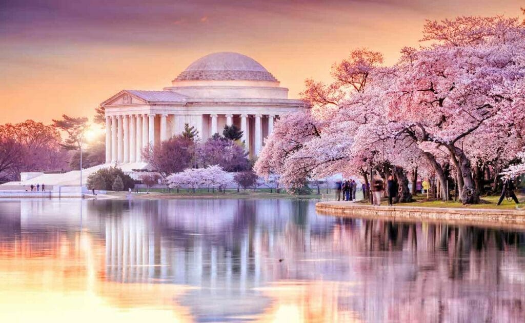 The Jefferson Memorial during the Cherry Blossom Festival, Washington, DC.