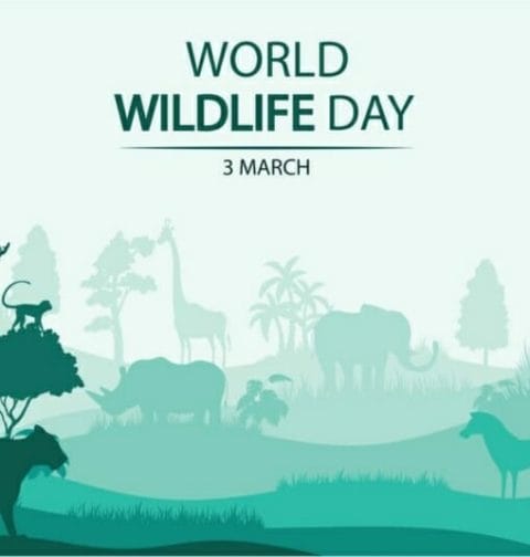 Vector image of a jungle featuring “World Wildlife Day 3 March.”