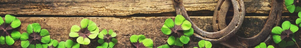 Two horseshoes and some four-leaf clovers on a table.