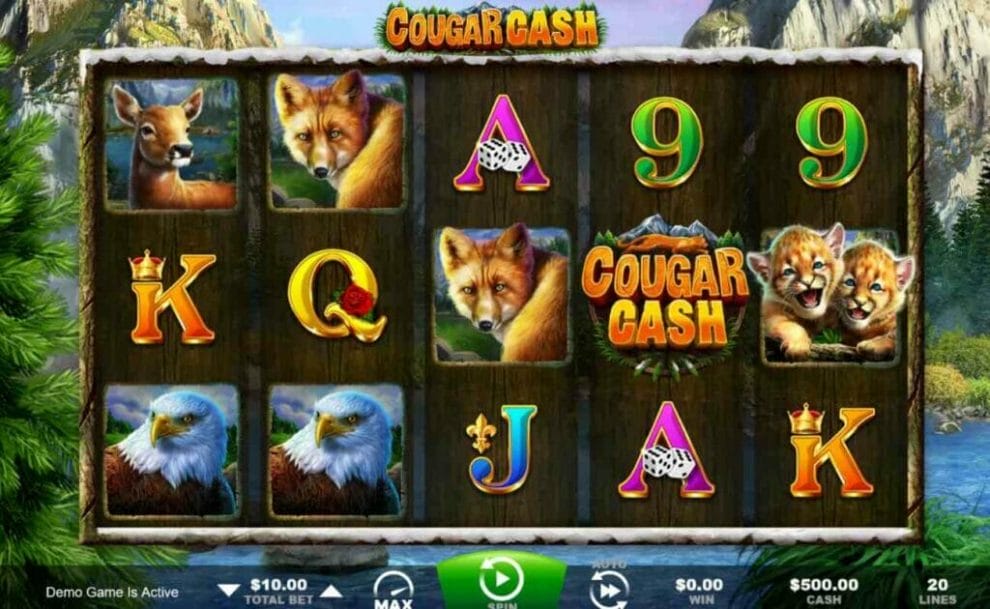 Cougar Cash online slot game.