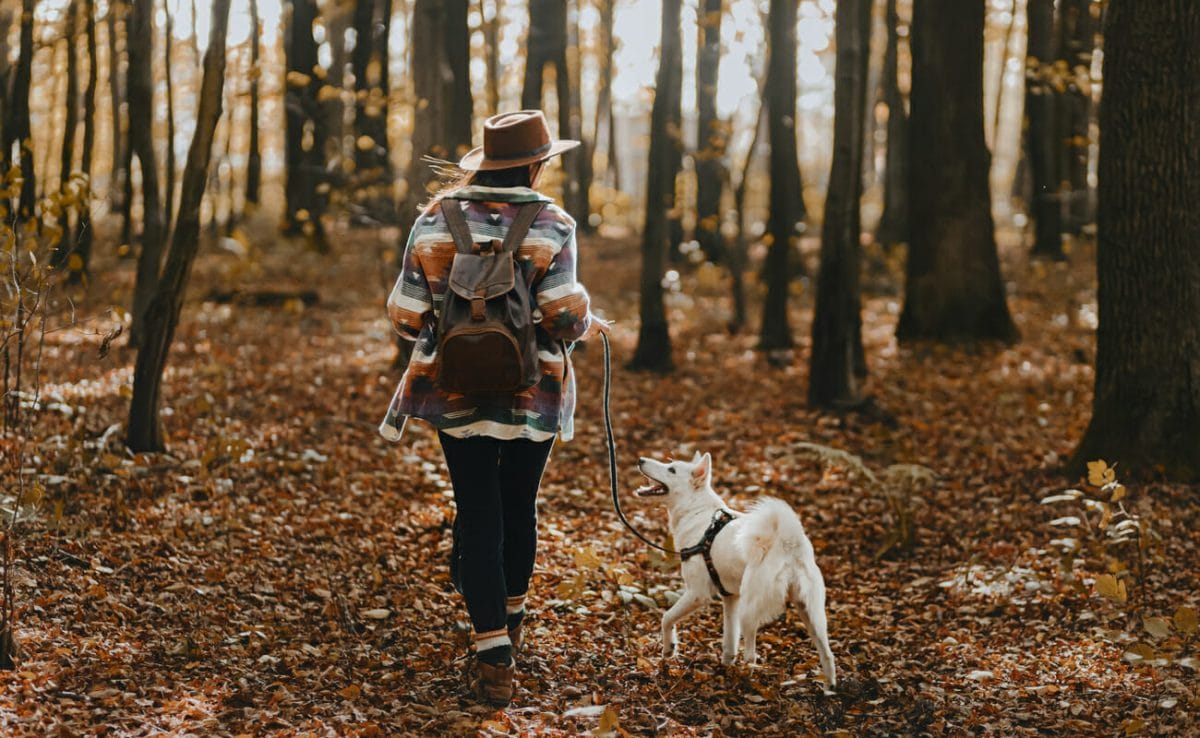 A young woman walking her dog in the woods.