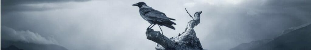 A raven perched on a branch against a brooding sky.