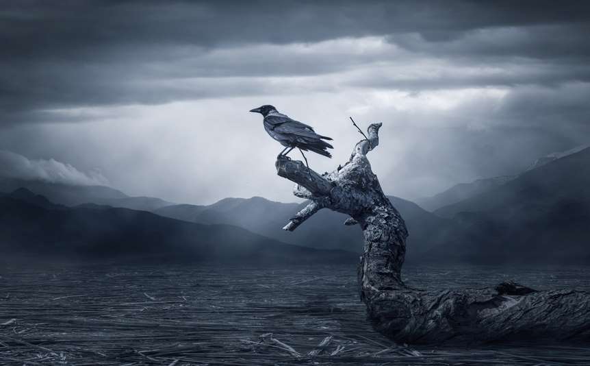 A raven perched on a branch against a brooding sky.