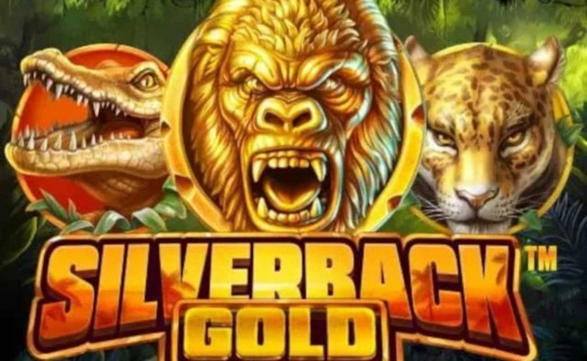 Silverback Gold online slot game.