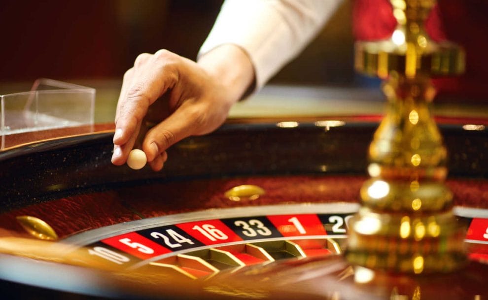 A dealer puts the ball into the roulette wheel.