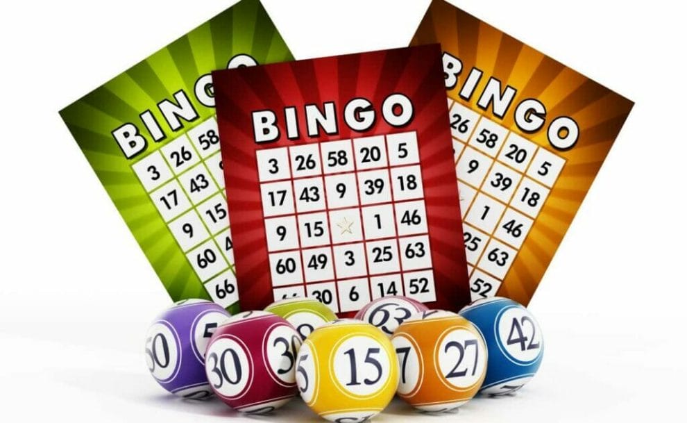 Bingo cards on a white background.