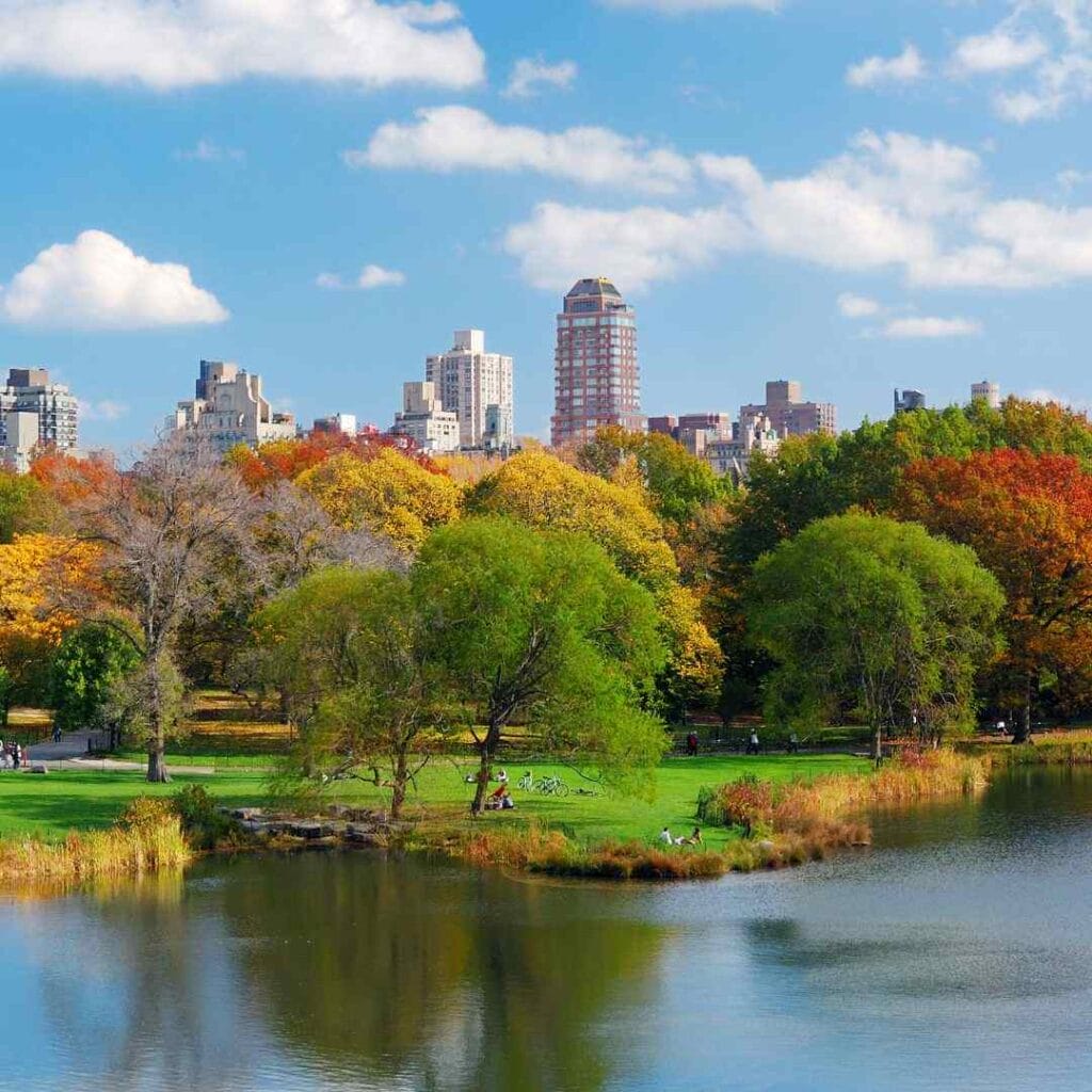 fall foliage in Central Park in Manhattan with buildings in the skyline behind the trees