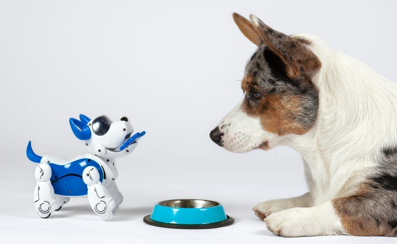 a dog and a robotic dog toy facing each other with a food bowl on the floor in front of them 
