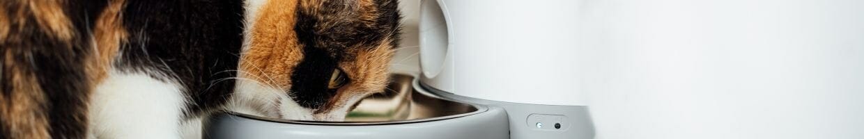 a tortoise shell pet cat eating food from a smart feeder