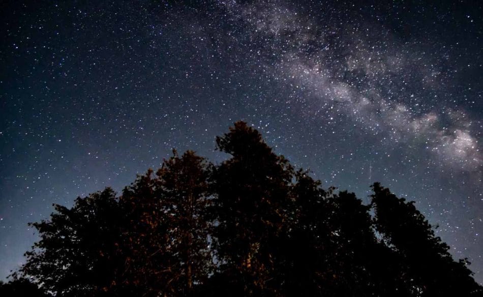 starry night with Milky Way over a cluster of trees in the Headlands International Dark Sky Park in Michigan