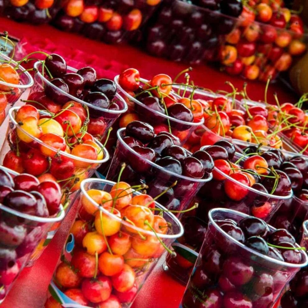 cups of freshly picked cherries lined up besides each other on a red table surface, famous in Traverse City Michigan