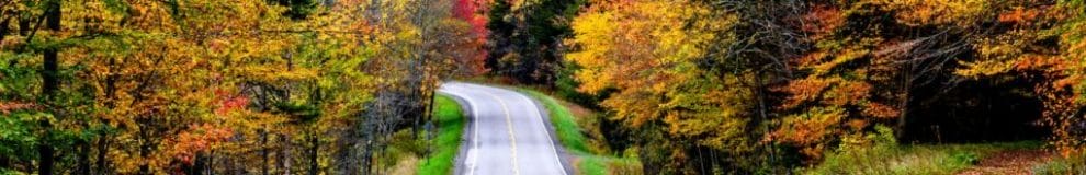 West Virginia road surrounded by trees.