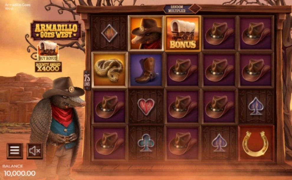 Armadillo Goes West online slot game screenshot.