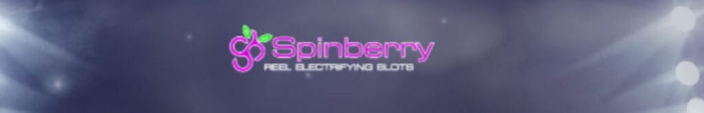 Screenshot of the Spinberry logo.