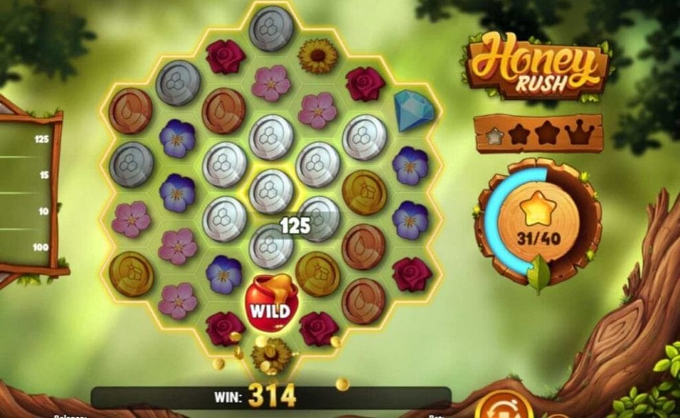 Reels set in a tree in a forest for the Honey Rush 100 online slot