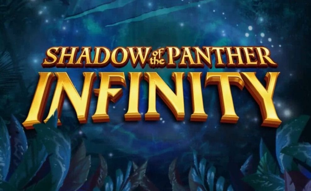 Gameplay in online slot Shadow of the Panther Infinity by High5