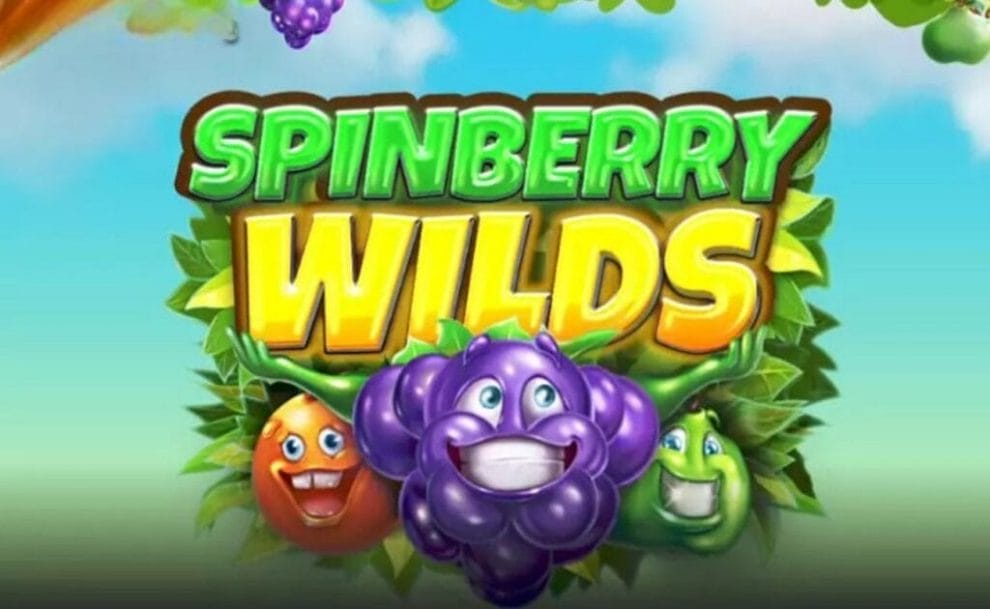 Gameplay in Spinberry Wilds by Spinberry