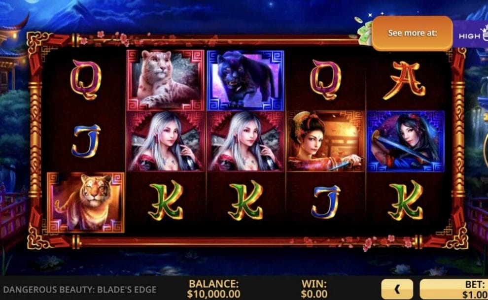 Gameplay in online slot Dangerous Beauty: Blade's Edge by High 5 casino slots