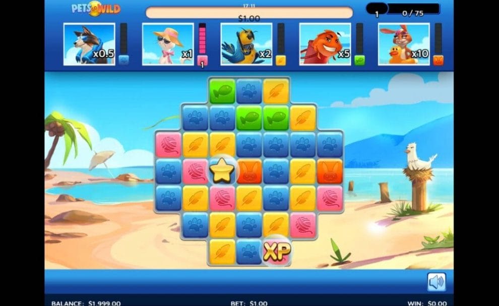 A screenshot of Pets Go Wild. The background is a picturesque beach with blue skies and oceans. The game has a variable reel with block symbols with feathers, paws, yarn, and rabbit faces. Above the reels are each of the pets wearing various holiday items including sunglasses, hats, and scuba gear. 
