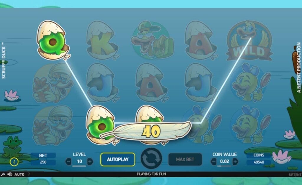 A screenshot of a winning spin on the Scruffy Duck slot game; The win amount appears on a feather, which appears over the highlighted winning payline. 