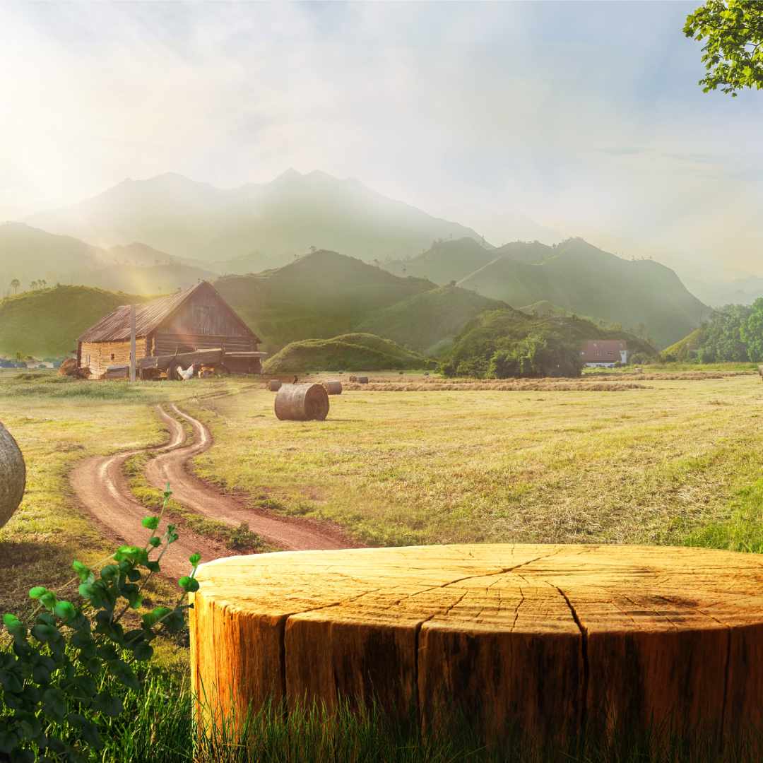 A tree table wood podium on a farm with a farmhouse, chickens and mountains in the background.