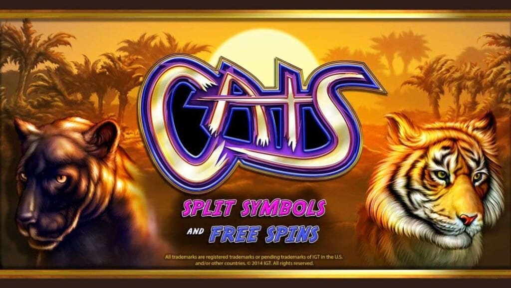 Cats