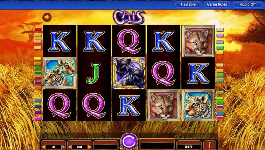 Slot screen of IGT’s Cats slot showing reels with leopards, cougars, panthers, and royal symbols against a golden savanna backdrop.