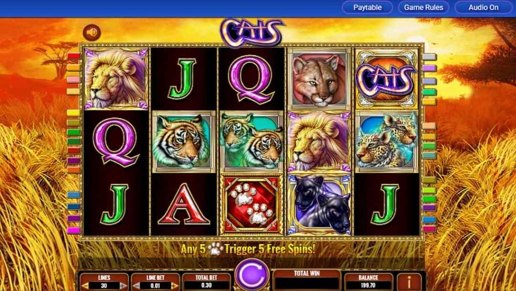 IGT’s Cats slot gameplay screen highlighting paw print scatters, big cat symbols, and vibrant royals set against a glowing African sunset scene.