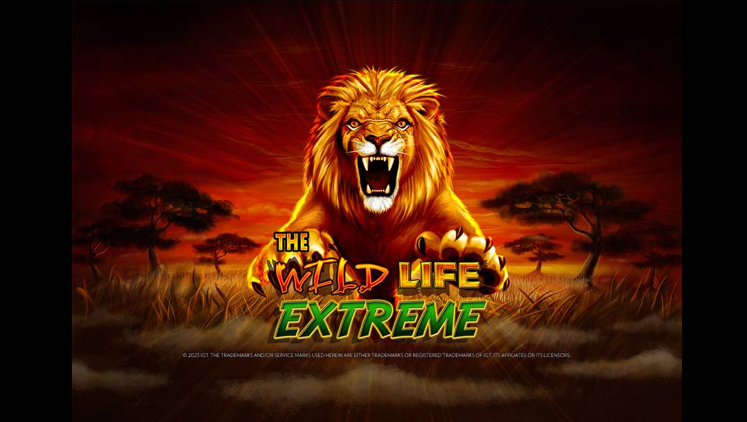 The Wild Life Extreme online slot title screen. The background is an African savanah as the sun sets. The foreground features a leaping lion and the game’s title.