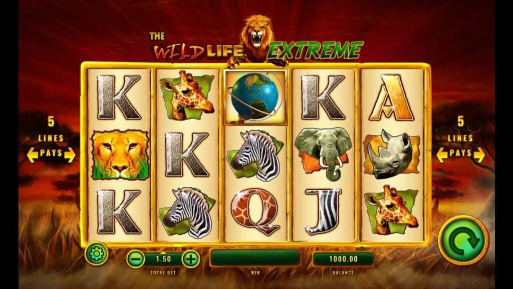 A screenshot of the slot reels in The Wild Life Extreme. The background is an African savannah at sunset. In the foreground are the game’s slot reels with various animal and playing card slot symbols.