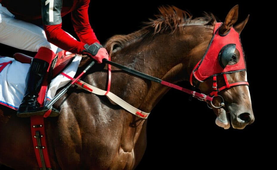 A jockey on a horse that has a red race face mask with blinkers on.