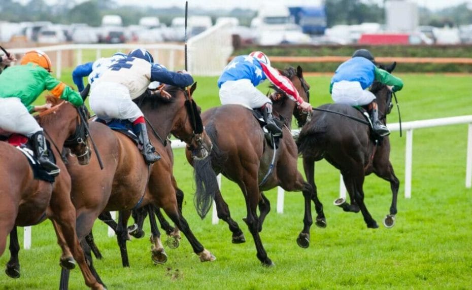 A group of horses rush towards the finish line in a tight race.