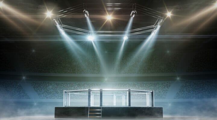 A fighting cage with lights on it and a crowd in the background.