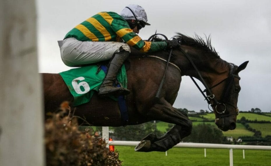 A horse and jockey clear a jump during a steeplechase race.