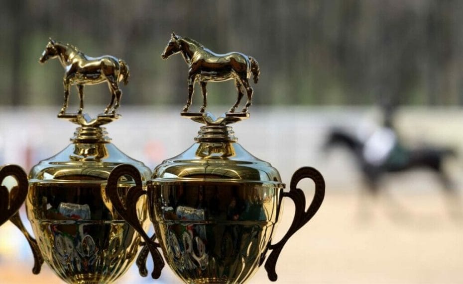 Two gold cups for equestrian sport.  