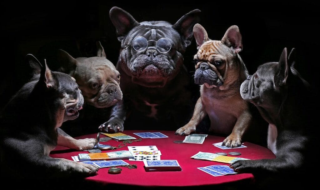 Five dogs around a poker table, some wearing glasses, engaged in a card game.