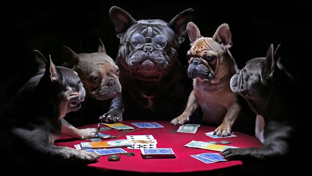 Five dogs around a poker table, some wearing glasses, engaged in a card game.