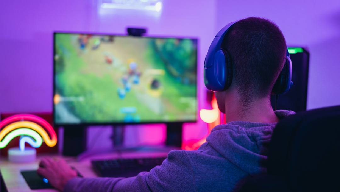 Back view of a person playing a computer game