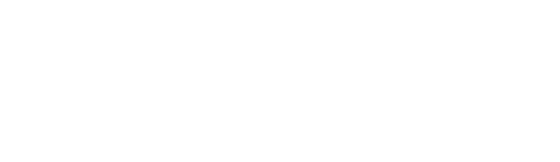 A stylized lion within a circle next to the words "BETMGM POKER" in large block letters.