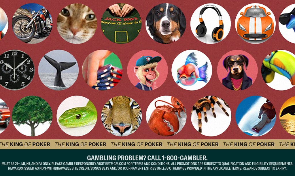 A poker avatar is the picture or photo used to represent a player’s online poker account.